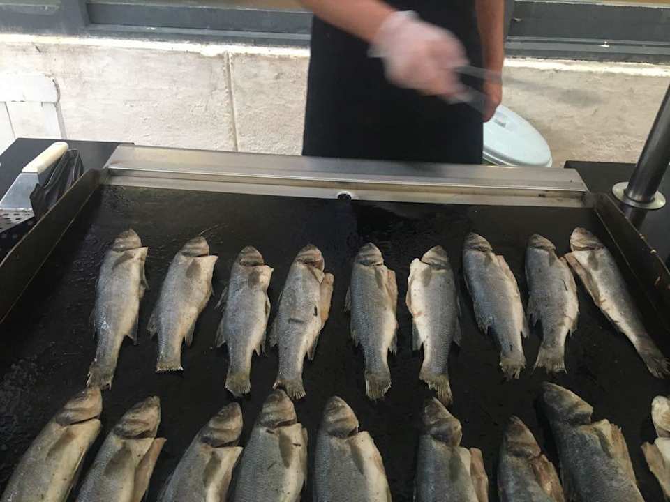 Gastro Jura Hotels Bodrum Resort