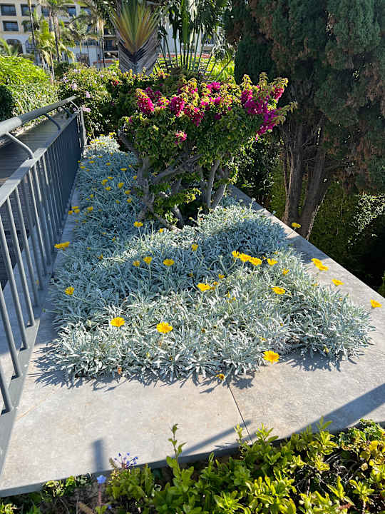 Gartenanlage The Residence Porto Mare - PortoBay