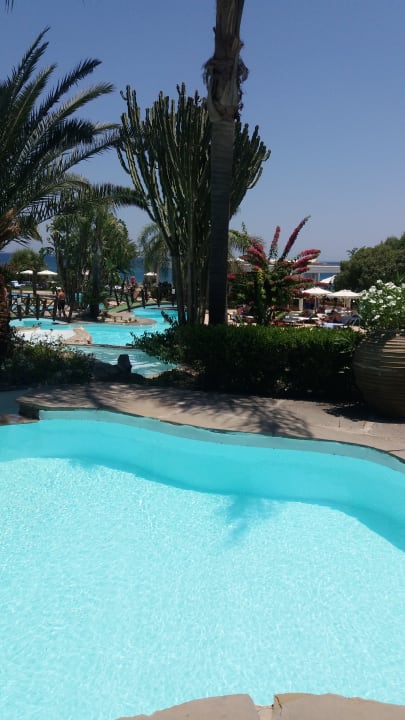 Pool Hotel Calypso Beach