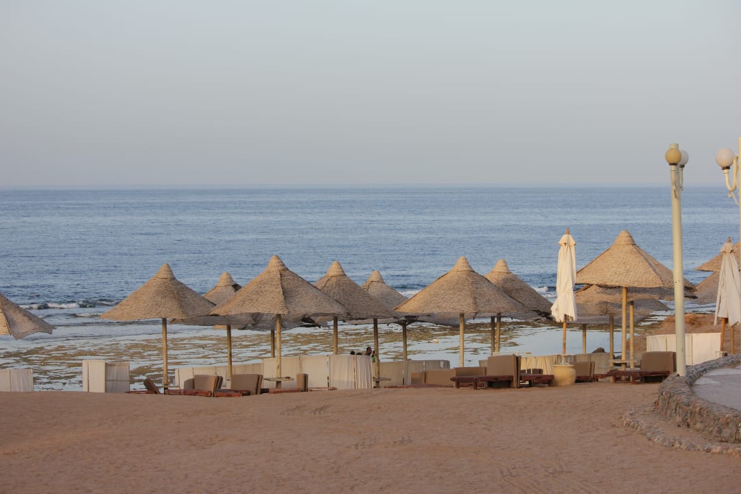 Strand Serenity Alpha Beach