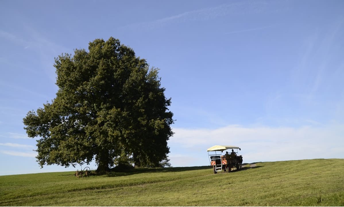 Sonstiges Hofgut Ratzenberg