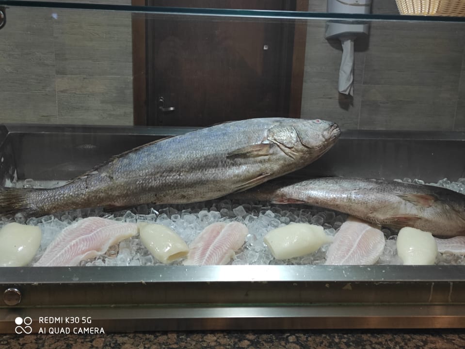 Gastro Pickalbatros Aqua Vista Resort - Hurghada