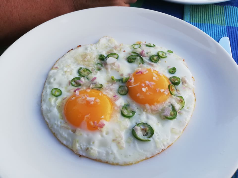 Gastro Summer Island Maldives