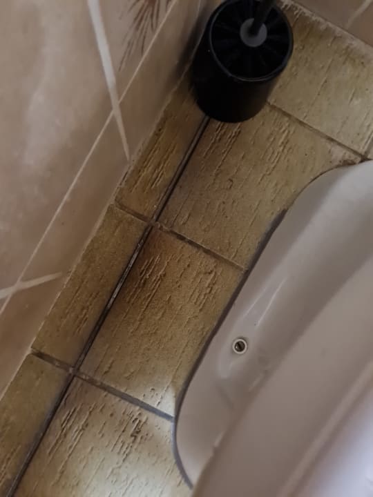 Zimmer Sonnenmatte-Titisee B+B Hotel Guesthouse