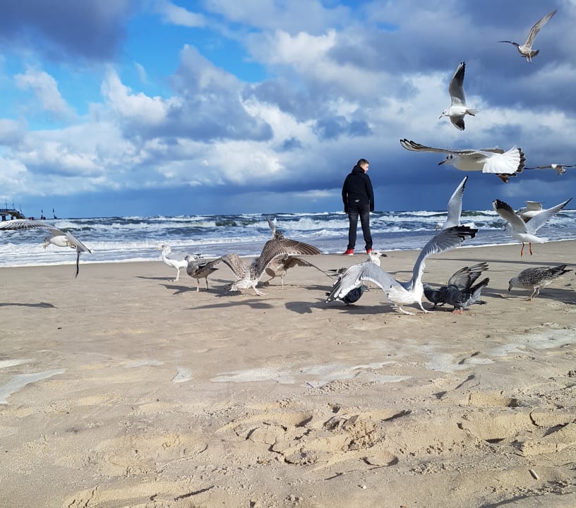 Strand Hotel Aurora Family & SPA