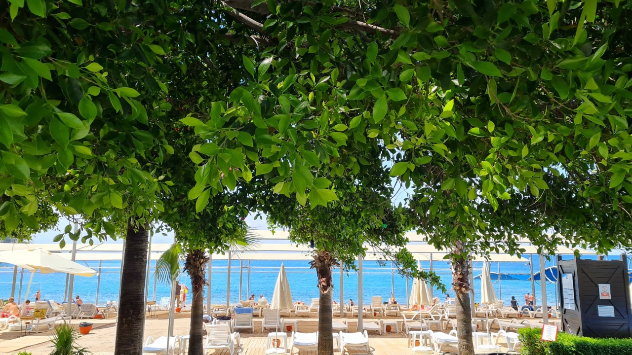 Strand Sealife Buket Resort & Beach