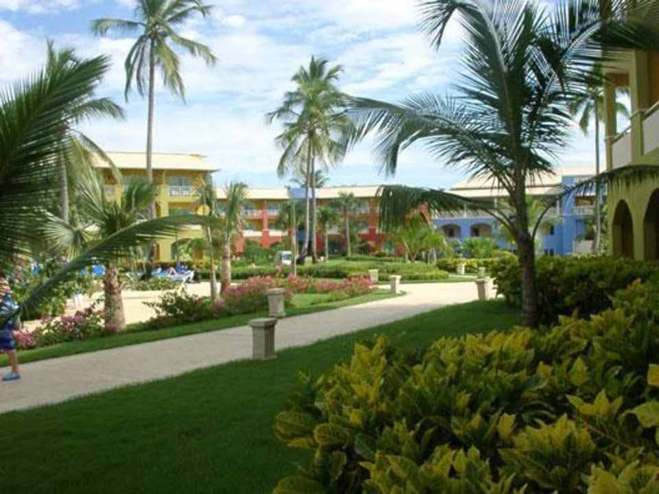 Grand Garten Royalton Splash Punta Cana