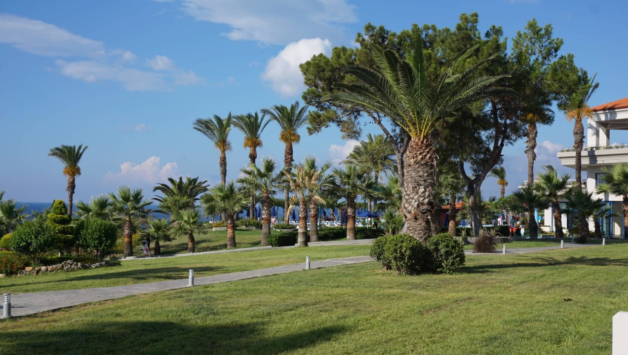 Zieleń na terenie Rodos Princess Beach Hotel & Spa