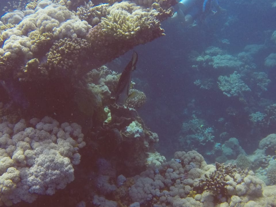 Sport & Freizeit Malikia Resort Abu Dabbab