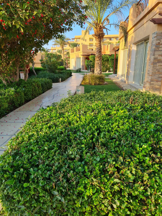 Gartenanlage Shams Prestige Abu Soma-Adults Only