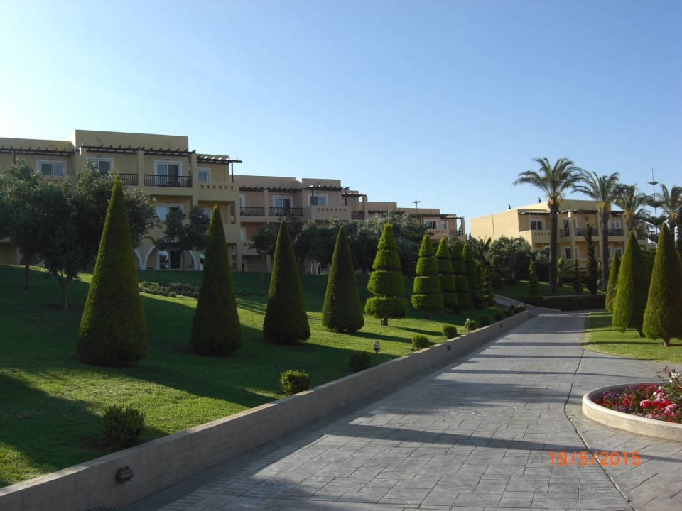 Wunderschöner Garten des Hotels Hotel Horizon Beach Resort