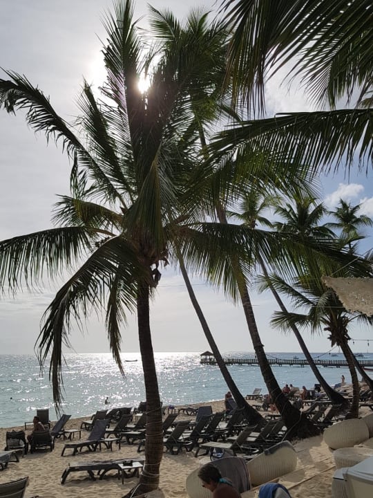 Strand Catalonia Royal La Romana - Adults only