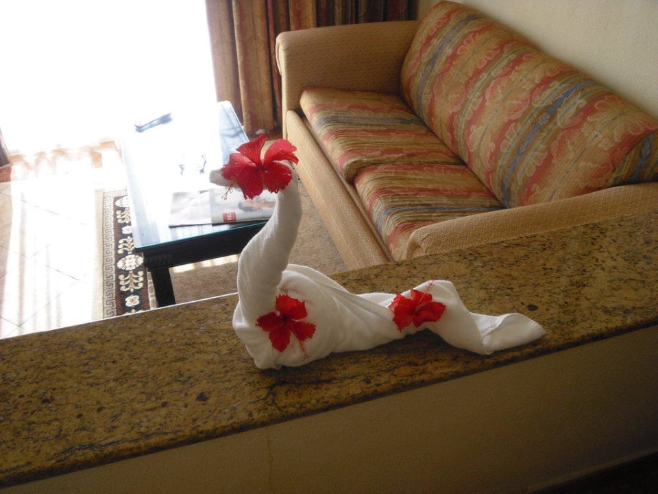 Handtuchkunst Hotel Riu Palace Punta Cana