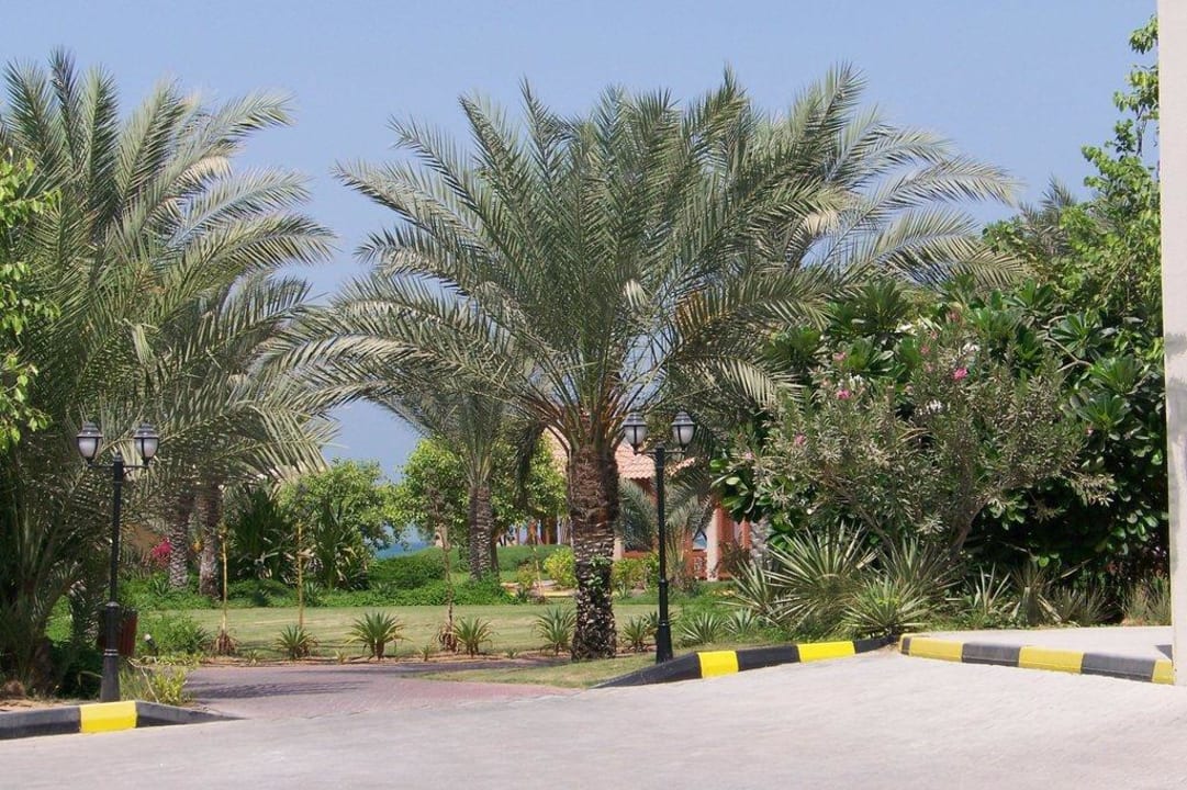 Die Außenanlage, schön grün Umm Al Quwain Beach Hotel