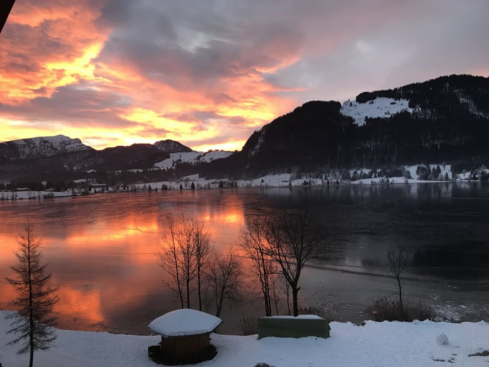 Ausblick Hotel Bellevue am See