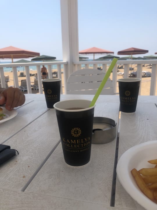Gastro Kamelya Aishen Club