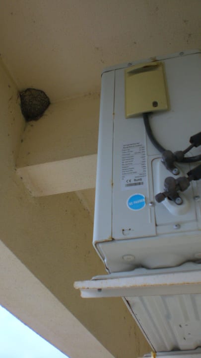 Dreckiger Balkon Hotel Detelina