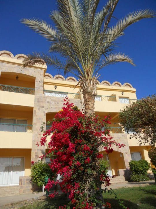 Blick auf Haupthaus Utopia Beach Club