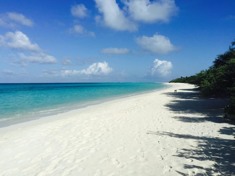 Beach Palm Beach Resort & Spa Maldives