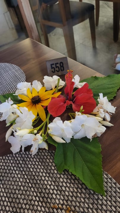 Sonstiges Hotel Defne Garden