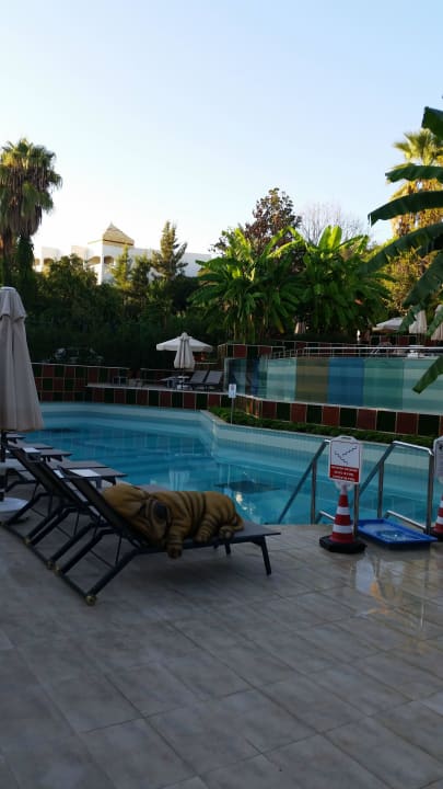 Pool erst ab 18! Side Star Elegance