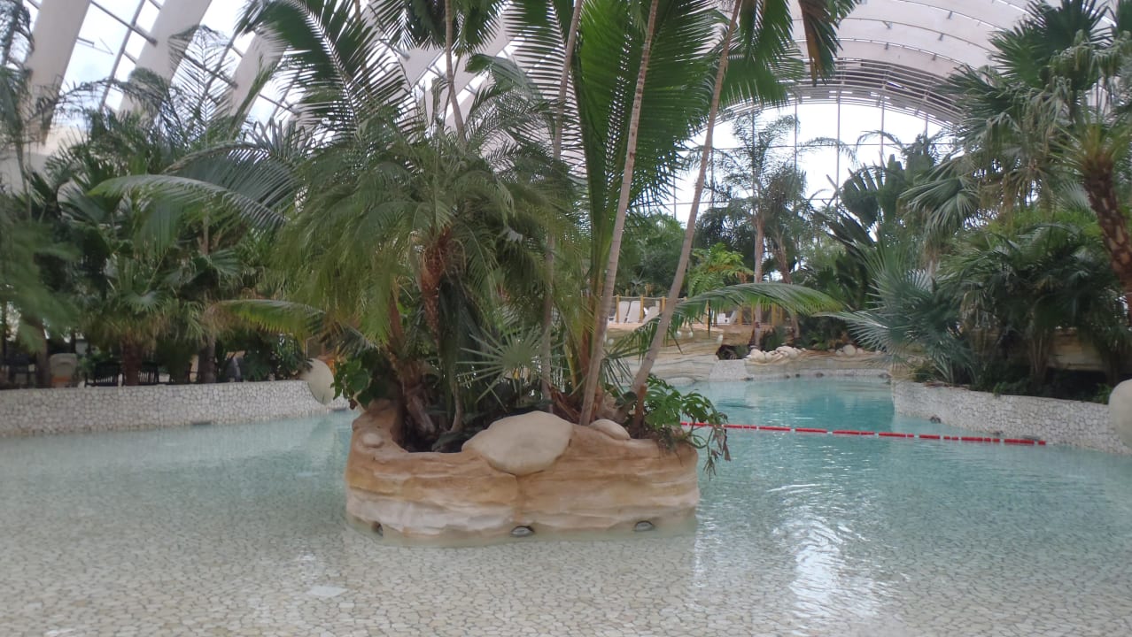 Wellenbad/Lagune Center Parcs Les Trois Forêts