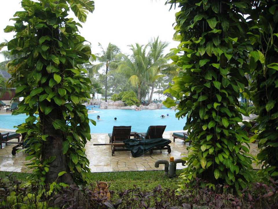 Pool  Hotel Nexus Resort Karambunai