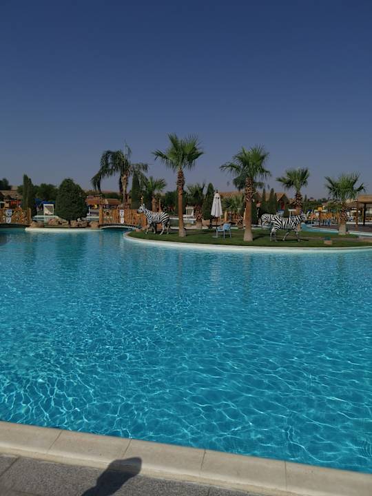 Pool Pickalbatros Jungle Aqua Park Resort - Neverland Hurghada