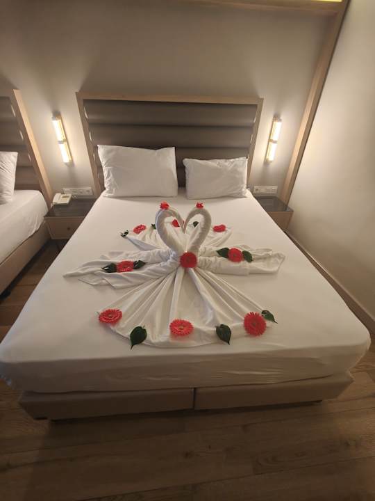 Zimmer Aydinbey Kings Palace & Spa