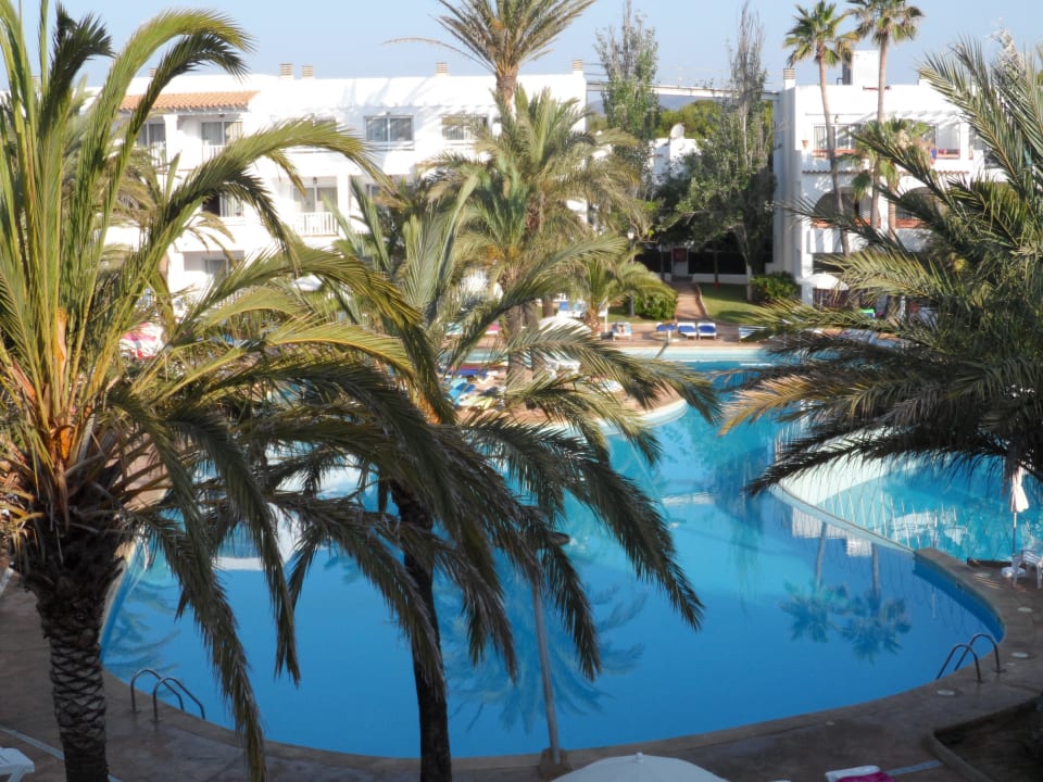 Pool Calimera Fido Gardens
