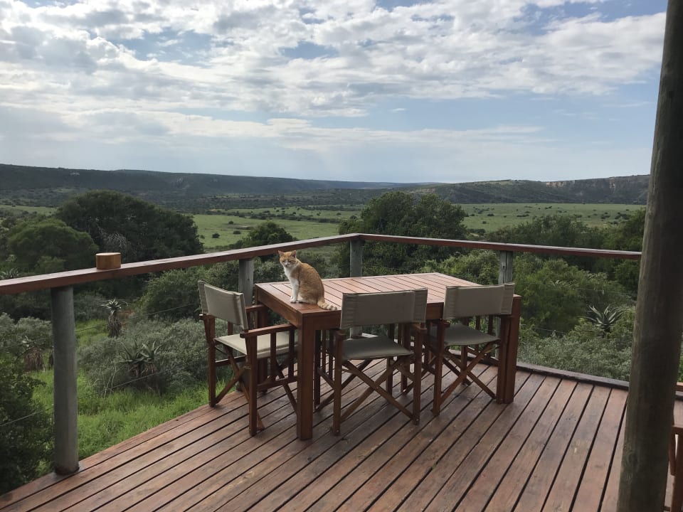Ein wunderschöner Rundumblick von der Terrasse Woodbury Tented Camp Amakhala