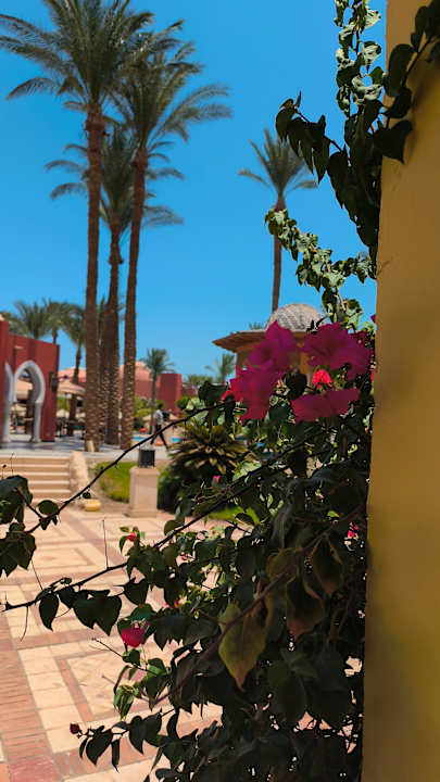 Gartenanlage The Grand Resort