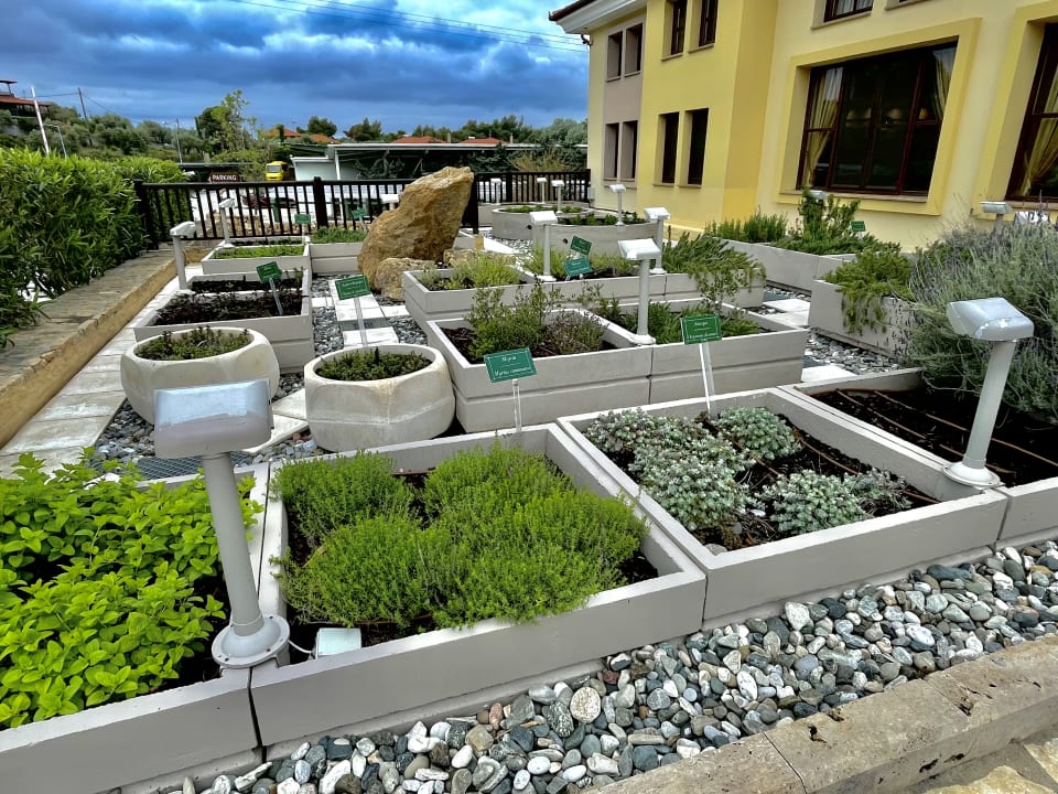 Gartenanlage Anthemus Sea Beach Hotel & Spa