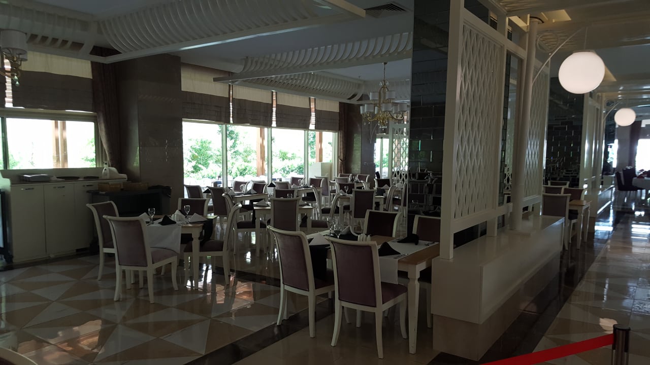 Gastro Well Palace Side