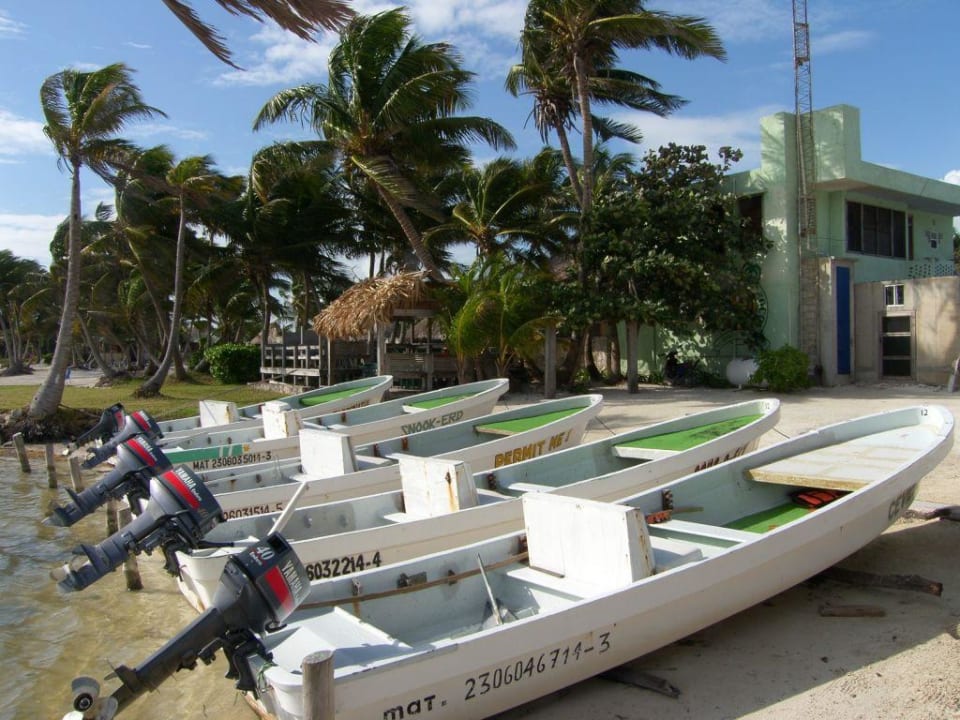 Tauchcenter mit Booten Hotel Costa de Cocos