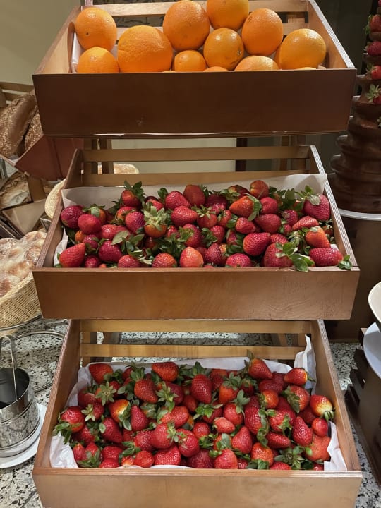 Gastro Pickalbatros Palace Hotel-Port Ghalib