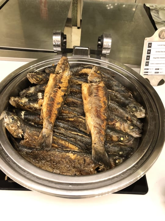 Gastro Adalya Elite Lara