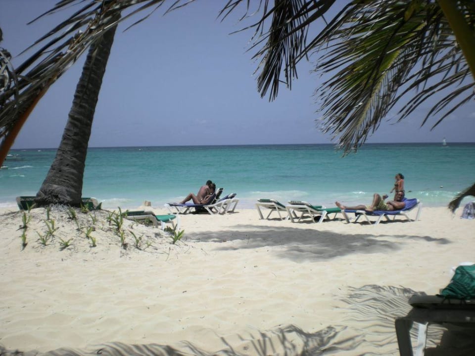 Strand mit genügend freien Plätzen Grand Palladium Select Bávaro Resort & Spa