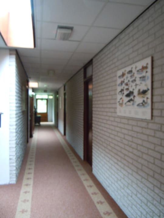 Hotelflur Hotel Duinzicht