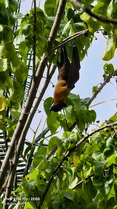 Sonstiges Adaaran Select Hudhuran Fushi - Premium All Inclusive