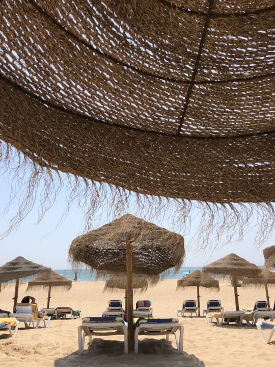 Strand AP Oriental Beach - Adults Friendly