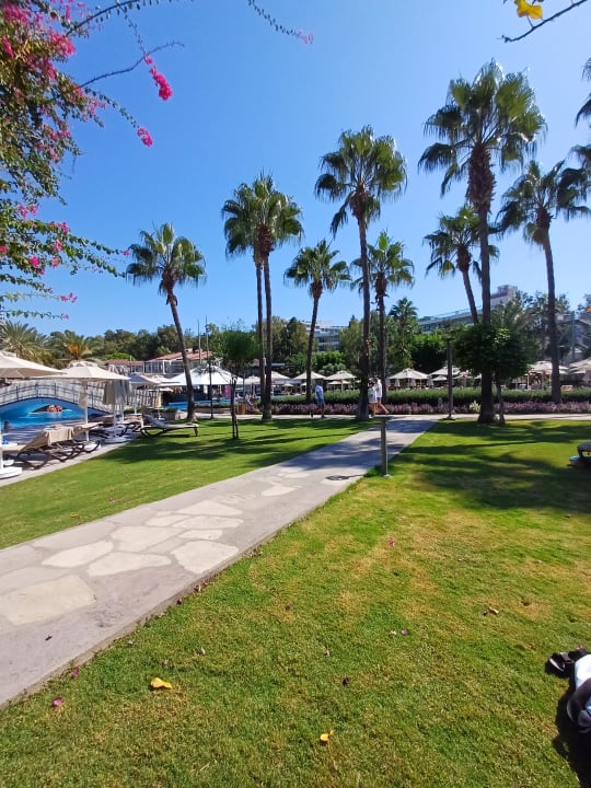 Gartenanlage Arum Barut Collection