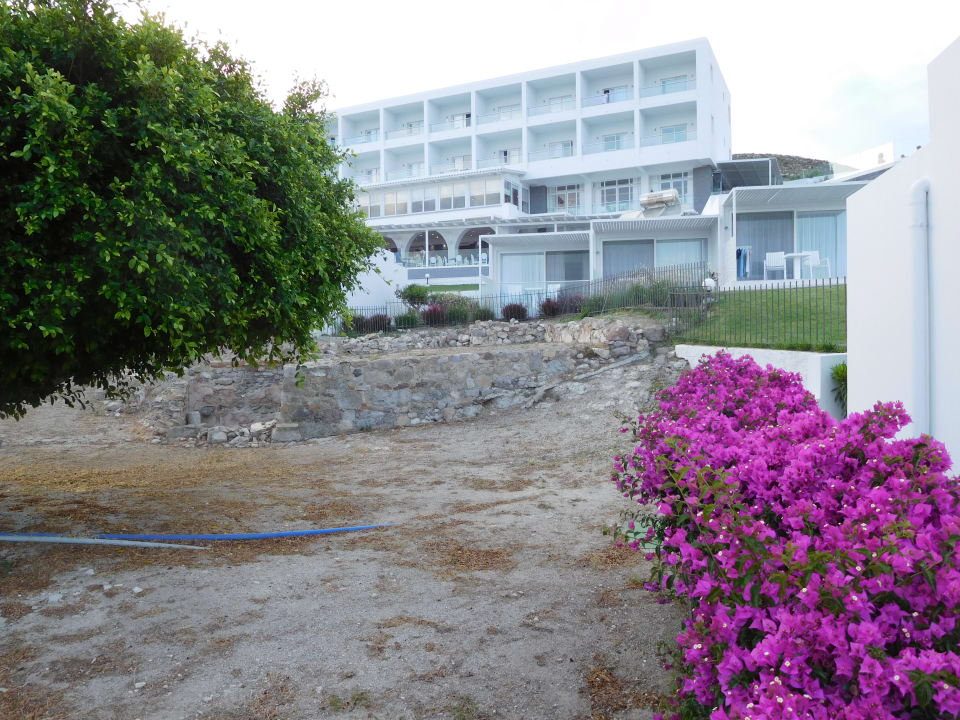 Gartenanlage Dimitra Beach Hotel & Suites