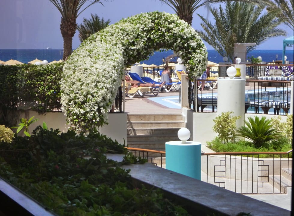 Alles blüht SUNRISE Holidays Resort (Adults Only)