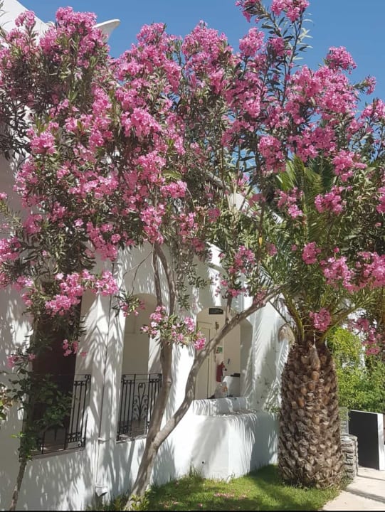 Außenansicht Very Chic Bodrum Adult Only