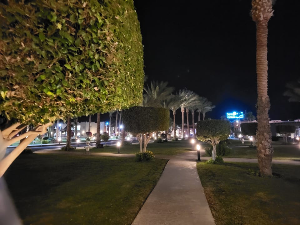 Gartenanlage SUNRISE Royal Makadi Resort