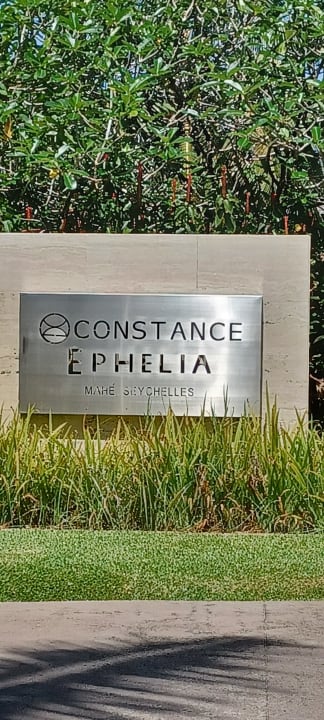 Sonstiges Constance Ephelia