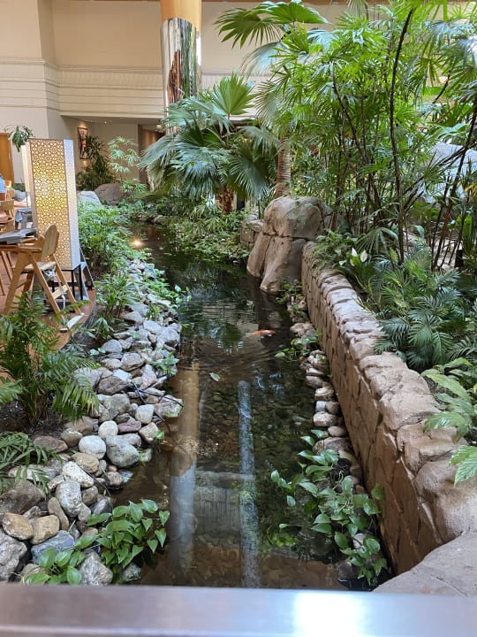 Gastro Grand Hyatt Dubai