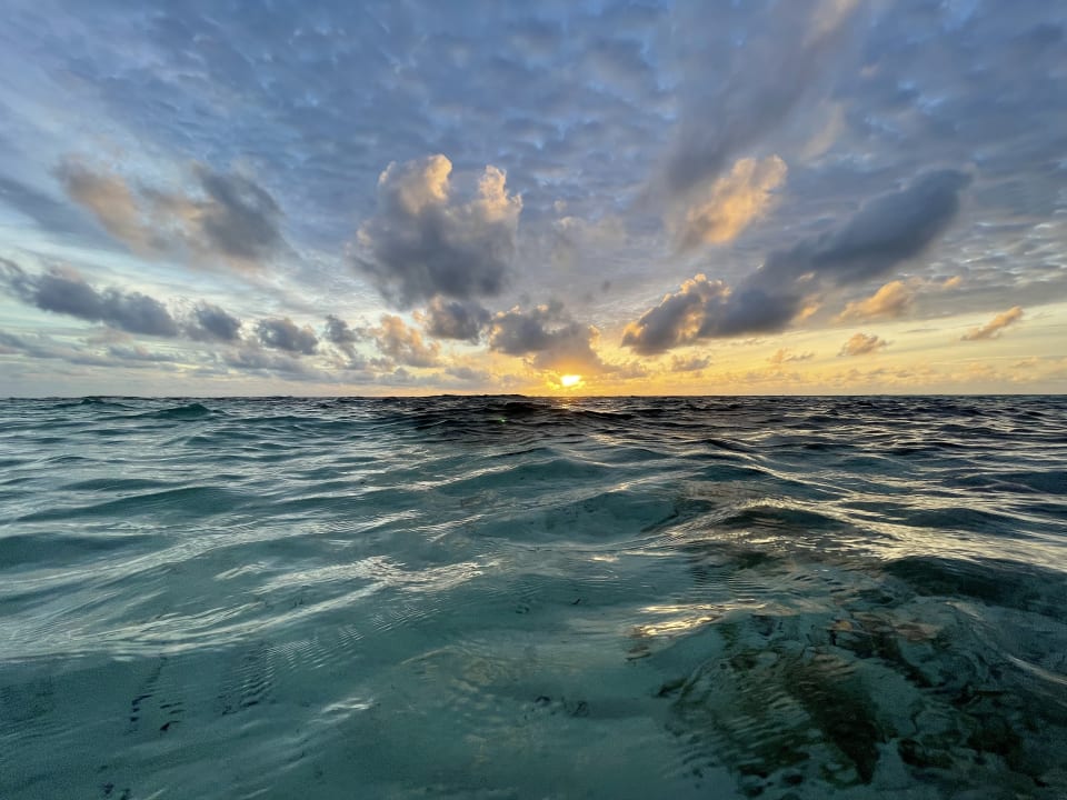 Ausblick Medhufushi Island Resort