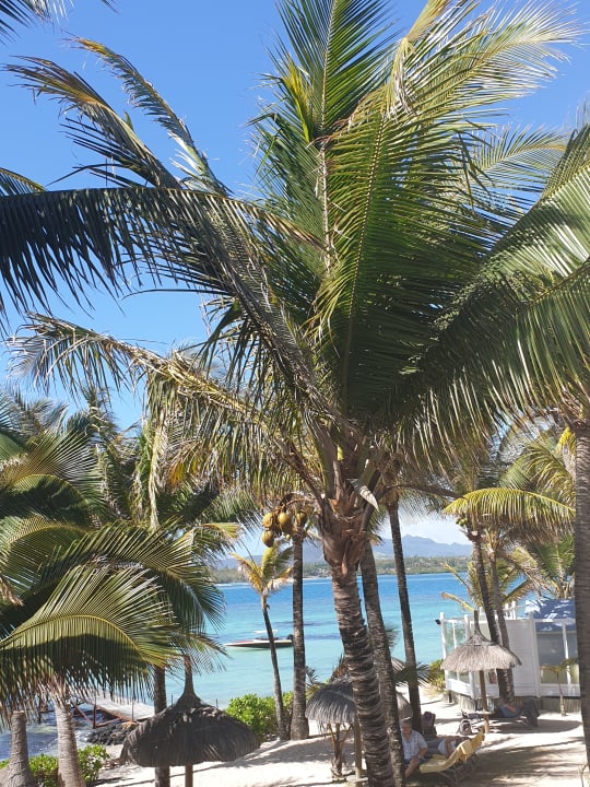 Ausblick Tropical Attitude - Adults only